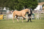 SBM_09237