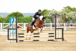 SBM_008229