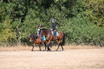 WJ6_7865
