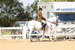 SBM_13153