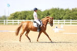 SBM_010186