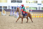 SBM_001453