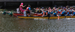 THE YORK ROTARY DRAGON BOAT CHALLENGE 2026 - 264 of 426