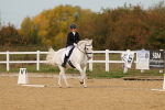 SBM_010379