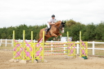 SBM_018772