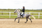 SBM_004347