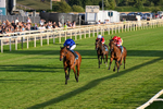 240726-Race 5-Diamond Rain-0528