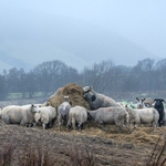 Howgill Fells