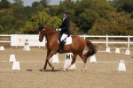 SBM_021903