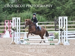 BPP_8197