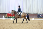SBM_002262