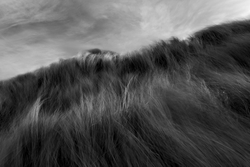 Gallery 5 portfolio