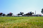 Race 4 15.40pm Le Veinard 2026. Racing And Info Handicap portfolio