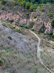 Andalucia 3 -65
