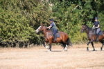 WJ6_7480