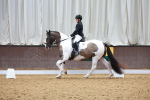 SBM_008775