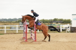 SBM_008914