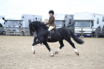SBM_006382