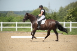 SBM_008876