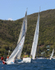 Bandos DSC_0191