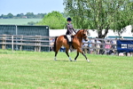 SBM_15355