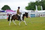 SBM_00860