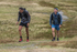 Sedbergh Hills-864