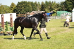 SBM_19275