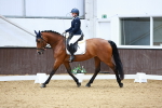 SBM_002431