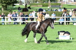 SBM_50358