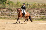 SBM_011064