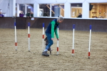 SBM_006281