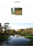 002 Autumn reflections