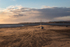 Instow sand swirls