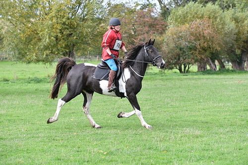 WJ5_9890