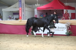 SBM_06622