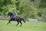 WJ6_3471