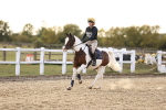 SBM_003987