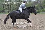 BPP_5081