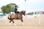 SBM_03369