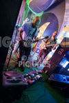 Aquarium Pop-up Gig 2019-38