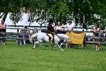 SBM_07796