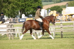SBM_09554