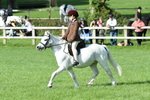 SBM_50393