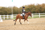 SBM_001945