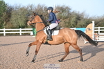 Cls 2 British Novice & 90cm Open portfolio