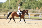 SBM_003272