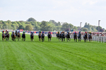 220826-Race 5-Sondad-1044