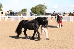 SBM_12922