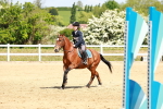SBM_007784